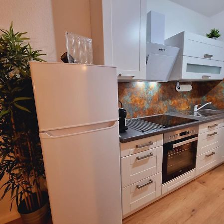 Lifestyle-Appartment Near Basf In Ludwigshafen Экстерьер фото