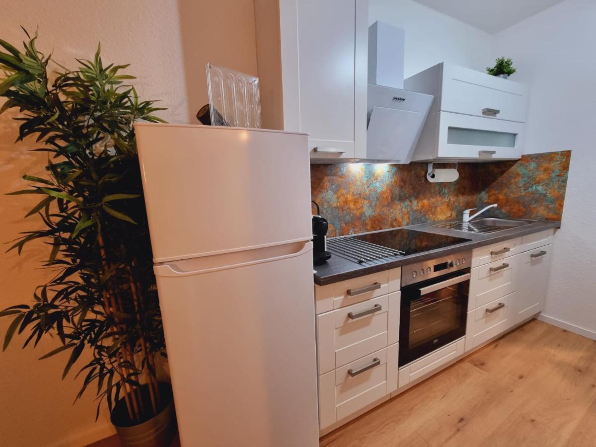 Lifestyle-Appartment Near Basf In Ludwigshafen Экстерьер фото